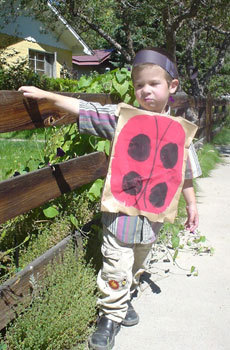 LadyBugBoy