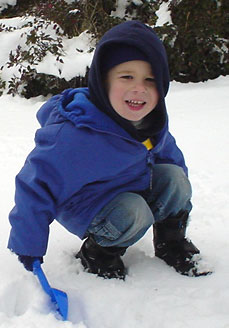 SnoShovel